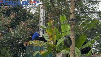 Yêu cầu Sở Y tế Tuyên Quang xác minh việc đốt rác thải y tế giữa lòng thành phố