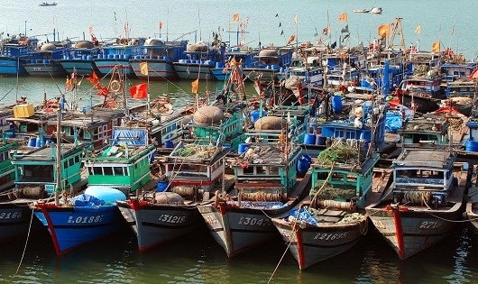 T&agrave;u c&aacute; neo đậu d&agrave;y đặc trong &acirc;u thuyền cũng c&oacute; thể va đập v&agrave;o nhau g&acirc;y thiệt hại kh&ocirc;ng nhỏ (H&igrave;nh minh họa).