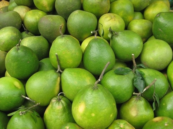 S&aacute;u loại quả 100% thuần Việt, ăn thoải m&aacute;i kh&ocirc;ng d&iacute;nh độc