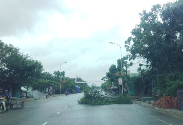 L&agrave; v&ugrave;ng chỉ bị ảnh hưởng gi&aacute;n tiếp của cơn b&atilde;o số 4, nhưng H&agrave; Tĩnh bị thiệt hại gần 50 tỷ đồng.