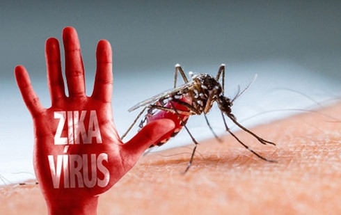 Th&ecirc;m 1 người nước ngo&agrave;i nhiễm virus Zika tại Việt Nam