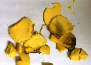 Phát hiện trứng gà dẻo như cao su, đốt cháy khét?