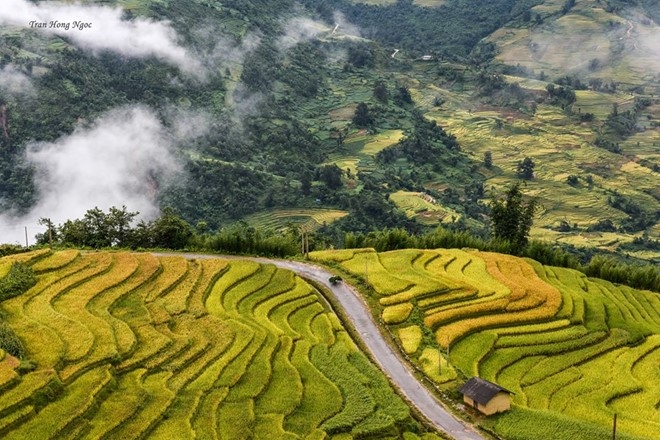 Kh&ocirc;ng giống như ruộng bậc thang ở những nơi kh&aacute;c, đến Y T&yacute; bạn c&oacute; thể bất chợt gặp những biển m&acirc;y tr&agrave;n tr&ecirc;n ruộng.