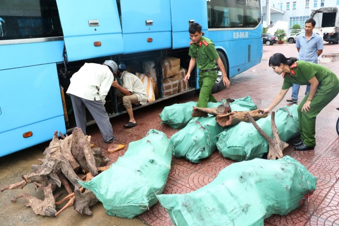 9 bao tải gỗ trắc (thuộc nh&oacute;m 1) giấu trong xe kh&aacute;ch bị lực lượng chức năng thu giữ.