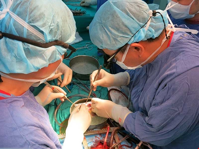 Tranh c&atilde;i xung quanh việc hiến tạng khi tim c&ograve;n đập