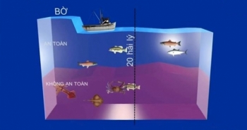 Công bố mới nhất về môi trường biển và chất lượng hải sản 4 tỉnh miền Trung