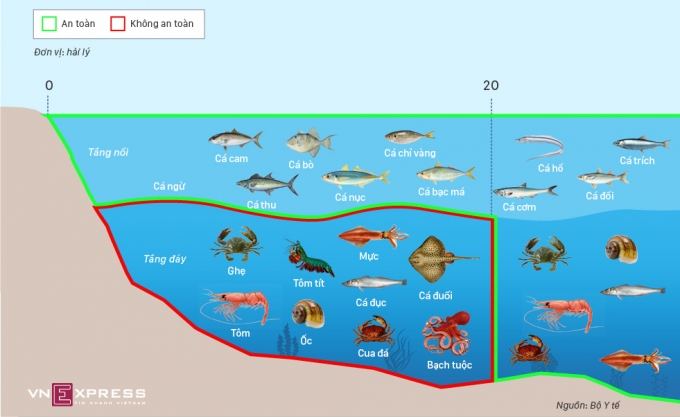 Loại c&aacute; biển n&agrave;o an to&agrave;n
