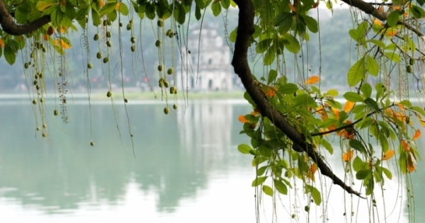 Đề phòng mối nguy từ nắng thu