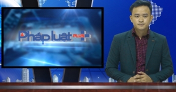 Bản tin Pháp Luật Plus ngày 26/9/2016: Hoa hậu khai nhận về hợp đồng tình cảm tại toà