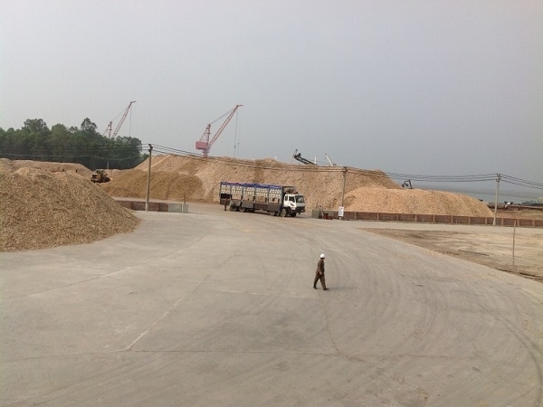 UBND tỉnh Quảng Ninh thu hồi đất khiến cho C&ocirc;ng ty Ho&agrave;i Nam v&agrave; C&ocirc;ng ty Sao Bắc lao đao.