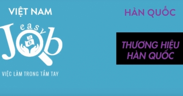 Doanh nghiệp Start-up Việt tố đối tác Hàn Quốc lừa dối và xúc phạm