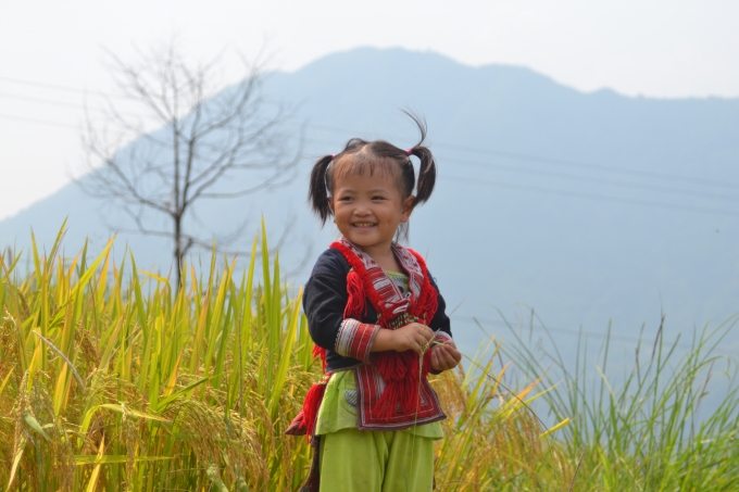 Trẻ em cũng đi c&ugrave;ng người lớn ra ruộng bắt c&aacute;.