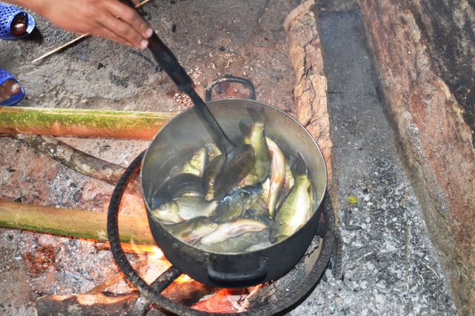 Ch&ugrave;m ảnh: Ho&agrave;ng Su Ph&igrave; v&agrave;o m&ugrave;a c&aacute; ch&eacute;p ruộng