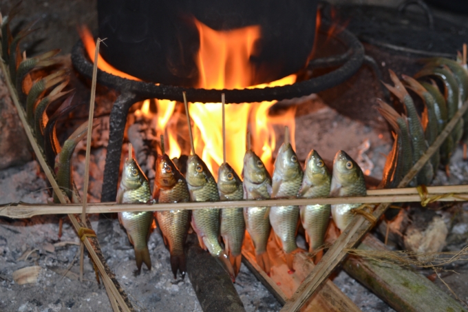 C&aacute; ch&eacute;p mang về c&oacute; thể được chế biến th&agrave;nh nhiều m&oacute;n kh&aacute;c nhau. Người d&acirc;n cho rằng m&ocirc;i trường sống của c&aacute; v&ocirc; c&ugrave;ng sạch, lại chủ yếu ăn b&ocirc;ng l&uacute;a, n&ecirc;n c&aacute; thường được để nguy&ecirc;n ruột, kh&ocirc;ng mổ.