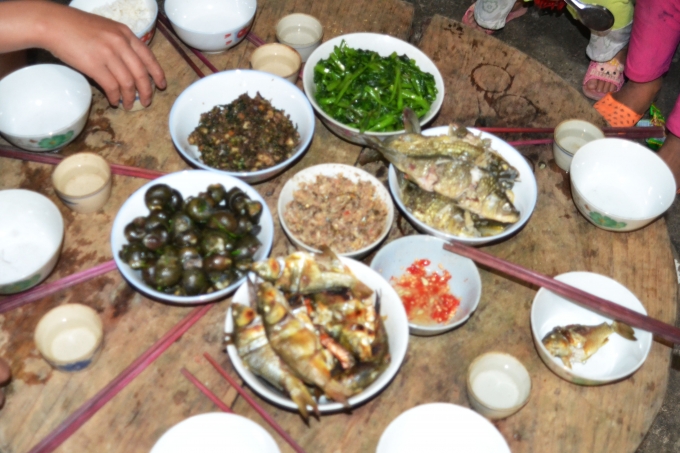 Ch&ugrave;m ảnh: Ho&agrave;ng Su Ph&igrave; v&agrave;o m&ugrave;a c&aacute; ch&eacute;p ruộng