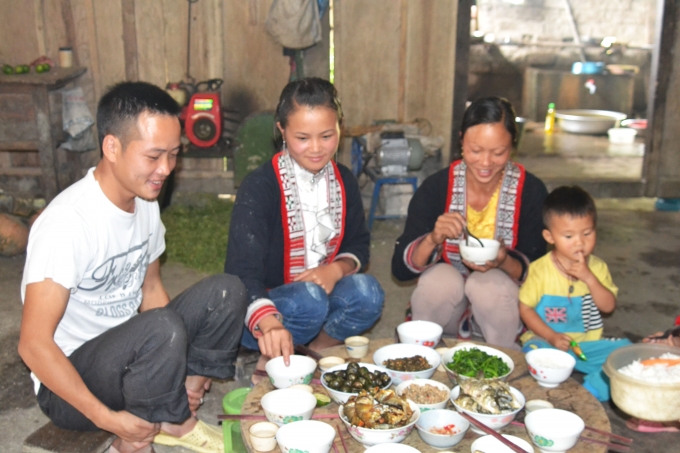 Ch&ugrave;m ảnh: Ho&agrave;ng Su Ph&igrave; v&agrave;o m&ugrave;a c&aacute; ch&eacute;p ruộng