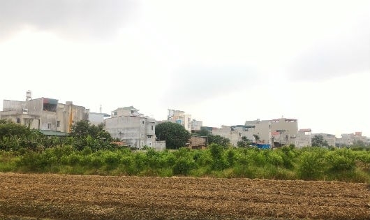 Ai bảo kê cho hàng trăm ngôi nhà "mọc" trên đất nông nghiệp?