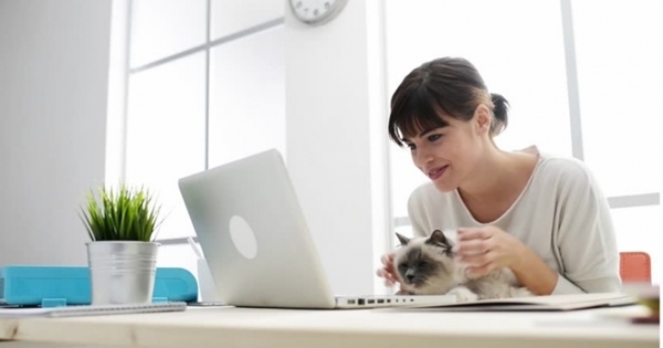 Nguy cơ tử vong vì bị mèo cào