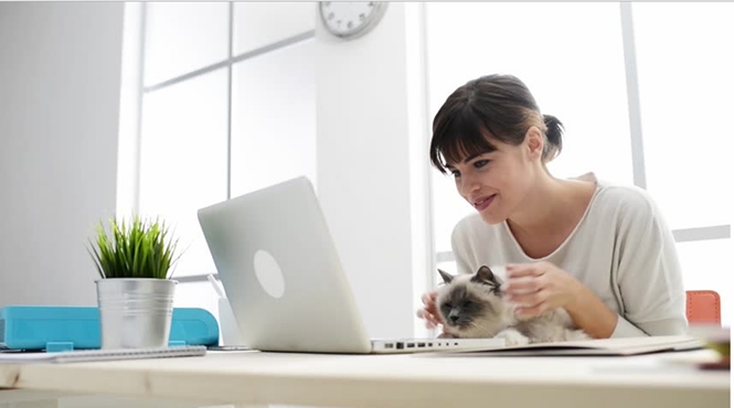 Cần rửa tay sạch sẽ sau khi nựng m&egrave;o.