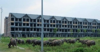 Địa ốc Plus 24h: Siêu cao tầng dày đặc trong phố, biệt thự tiền tỷ thành nơi nuôi thả trâu bò