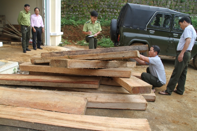 &nbsp;Số khỗ v&ocirc; chủ đ&atilde; được tập kết tại Hạt kiểm l&acirc;m.