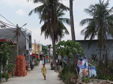 'Ngưng t&aacute;ch thửa cho d&acirc;n l&agrave; sai'