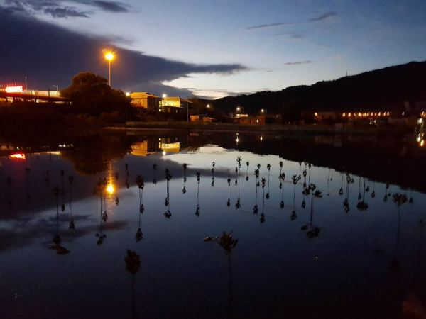 Tiếp lửa y&ecirc;u thương tr&ecirc;n những bước đường thi&ecirc;n l&yacute;