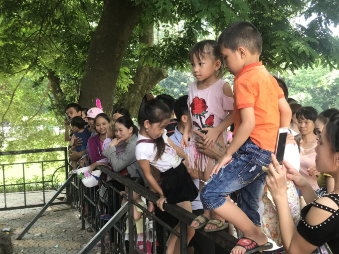 Với sự đa dạng v&agrave; phong ph&uacute; về chủng loại động vật...