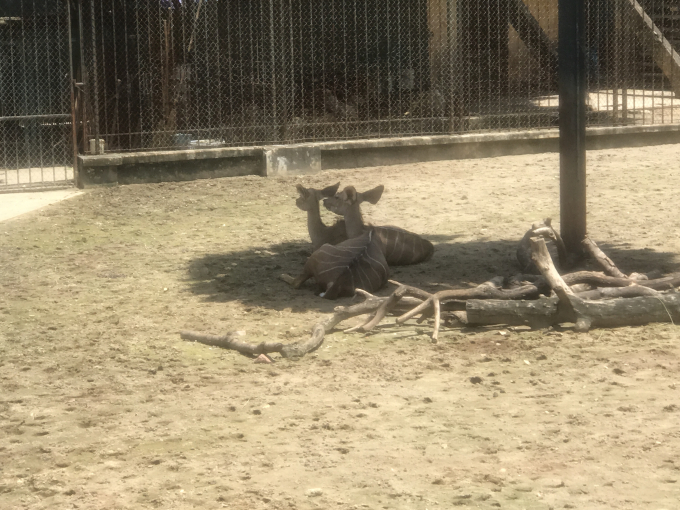 C&ocirc;ng vi&ecirc;n Thủ Lệ trong ng&agrave;y đầu nghỉ lễ Quốc kh&aacute;nh 2/9