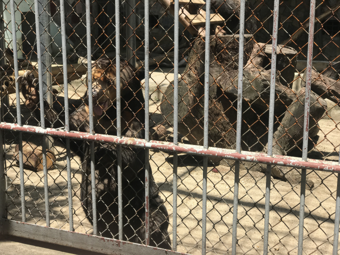 C&ocirc;ng vi&ecirc;n Thủ Lệ trong ng&agrave;y đầu nghỉ lễ Quốc kh&aacute;nh 2/9