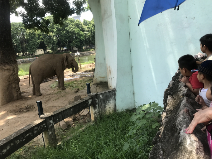 C&ocirc;ng vi&ecirc;n Thủ Lệ trong ng&agrave;y đầu nghỉ lễ Quốc kh&aacute;nh 2/9