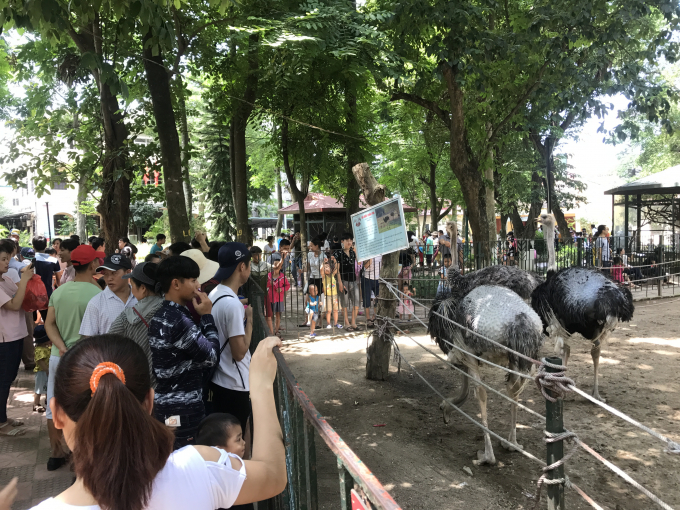 ...kh&ocirc;ng chỉ với trẻ nhỏ m&agrave; với cả c&aacute;c bậc phụ huynh, thanh ni&ecirc;n khi tham quan Vườn th&uacute;.