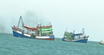 Bắt hai tàu giã cào tận diệt nguồn lợi thủy sản