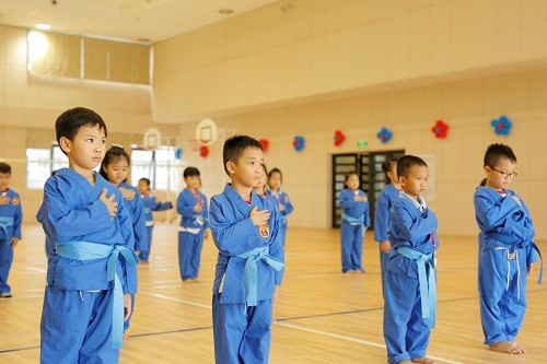 Vovinam - Việt V&otilde; Đạo được đưa v&agrave;o chương tr&igrave;nh Gi&aacute;o dục thể chất từ lớp 1 - lớp 12 nhằm gi&uacute;p cho học sinh kh&ocirc;ng chỉ r&egrave;n luyện về thể chất m&agrave; c&ograve;n l&agrave; tinh thần t&ocirc;n sư trọng đạo, tinh thần thượng v&otilde;.