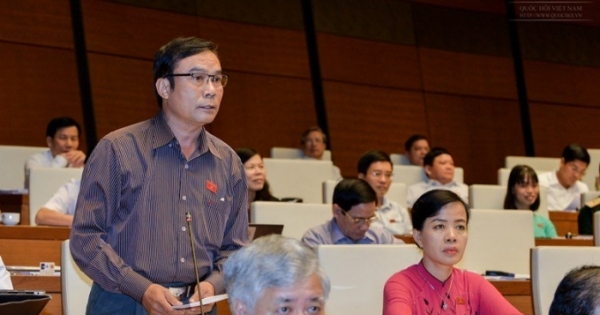 Giải thích bán chổi đót, nuôi heo tậu biệt phủ là coi thường dân