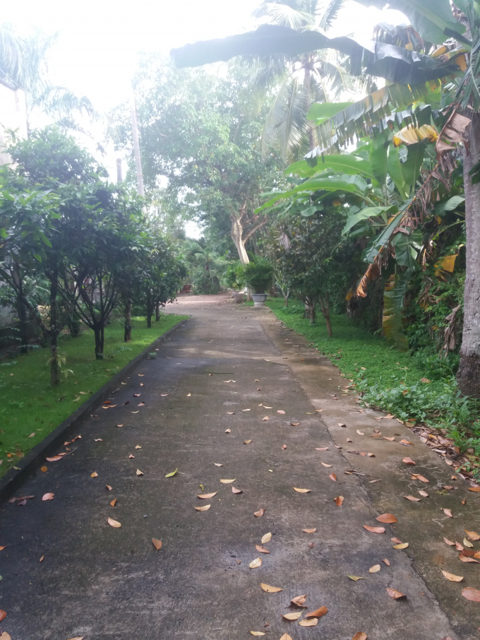 Khu nh&agrave; vườn rất khang trang, tho&aacute;ng m&aacute;t được cho l&agrave; nơi &ocirc;ng Ti&ecirc;n đang ở c&aacute;ch Th&agrave;nh ủy B&agrave; Rịa chừng 7km.