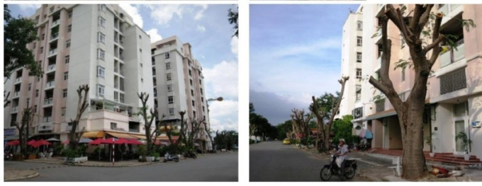 Một g&oacute;c chung cư M.V do C&ocirc;ng ty P.M.H l&agrave;m chủ đầu tư.