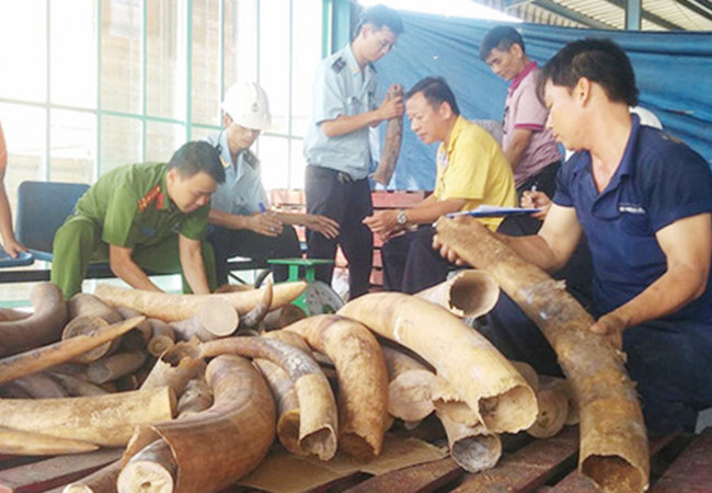 Một vụ bắt giữ bu&ocirc;n lậu ng&agrave; voi. (Ảnh: b&aacute;o C&ocirc;ng an nh&acirc;n d&acirc;n)