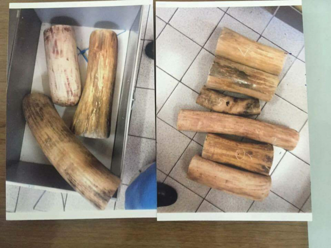 Tang vật được cơ quan chức năng thu giữ.