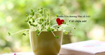 Radio Yêu thương Plus số 142: Cái chậu nứt