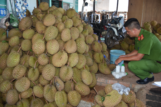 Số Sầu Ri&ecirc;ng khủng của cơ sở b&agrave; Tuyết &nbsp;nh&uacute;ng h&oacute;a chất đang chuẩn bị được chuyển ra H&agrave; Nội ti&ecirc;u thụ