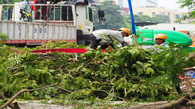 Việc chặt hạ v&agrave; đ&aacute;nh chuyển c&acirc;y xanh được xử dụng nhiều m&aacute;y m&oacute;c, thiết bị hiện đại.&nbsp;