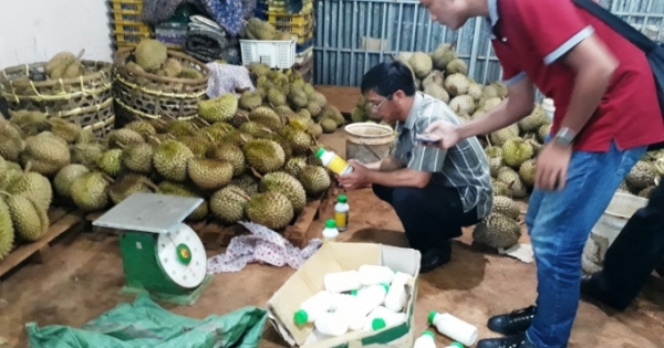 Gia Lai: Bắt quả tang cơ sở nhúng sầu riêng vào chất lạ