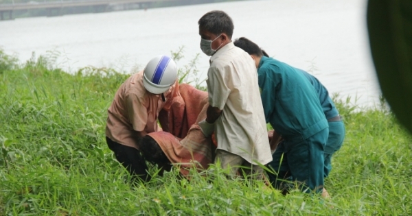 Huế: Phát hiện thi thể ông lão nổi trên sông Hương