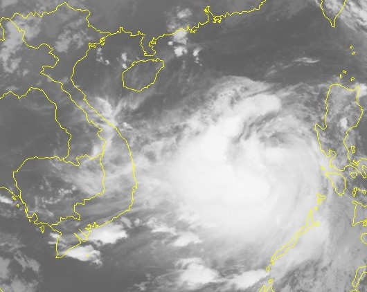 Cơn b&atilde;o số 10 l&agrave; cơn b&atilde;o mạnh.