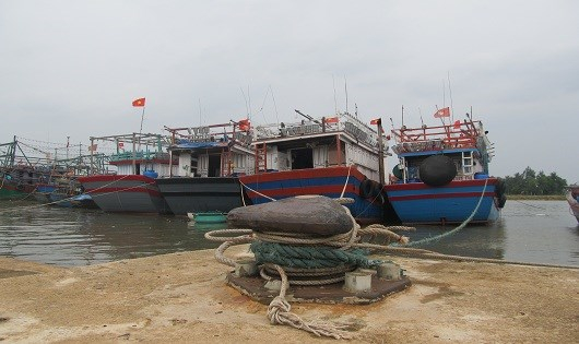 C&aacute;c t&agrave;u c&aacute; được đưa về neo đậu an to&agrave;n.