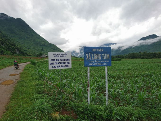 Biển khu vực bảo tồn giống ong nội cấm đưa c&aacute;c giống ong từ nơi kh&aacute;c v&agrave;o khu vực bảo tồn, năm 2017. (Ảnh : Tiến Vũ)