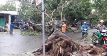 Tránh bão số 10, học sinh, sinh viên Đà Nẵng nghỉ học từ chiều 15/9