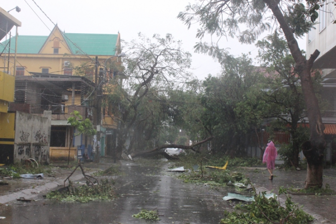 Quảng B&igrave;nh: 7 người thương vong, thiệt hại gần 1.800 tỷ đồng do b&atilde;o số 10