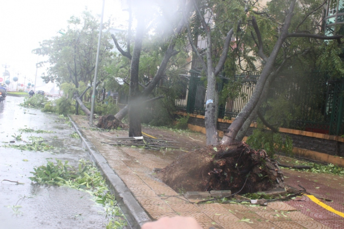 Quảng B&igrave;nh: 7 người thương vong, thiệt hại gần 1.800 tỷ đồng do b&atilde;o số 10